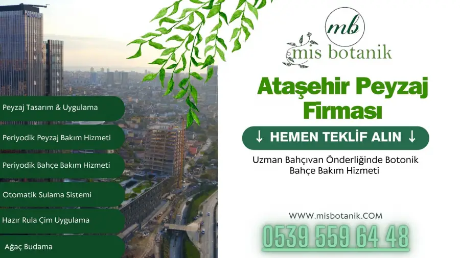 Ataşehir Peyzaj Firması