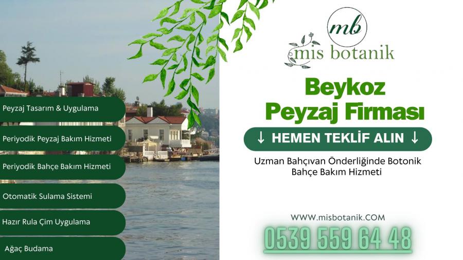 Beykoz Peyzaj Firması
